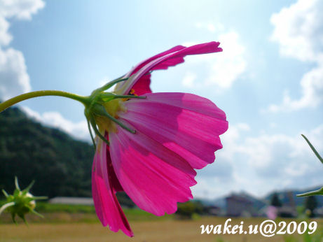 P1040574.JPG