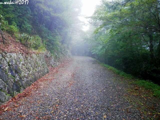 PA072361.jpg