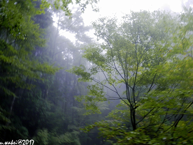 PA072362.jpg