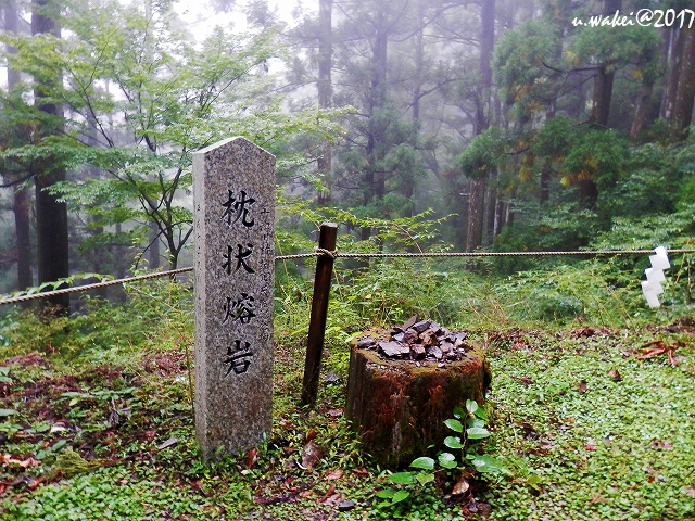 PA072364.jpg