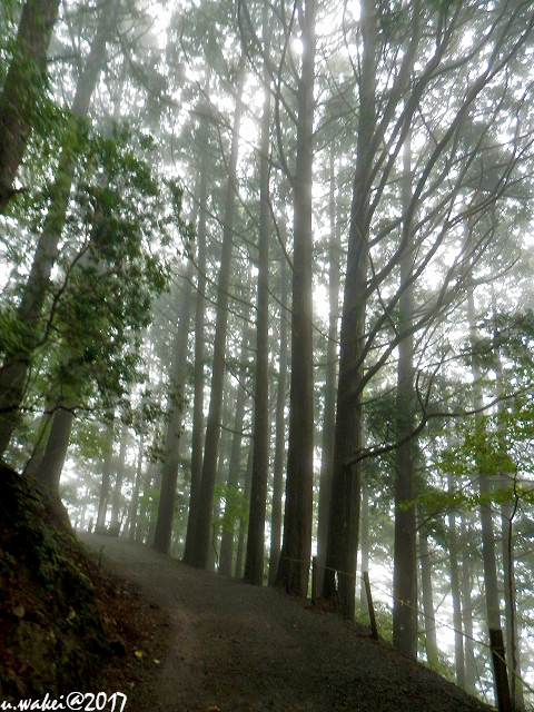 PA072365.jpg