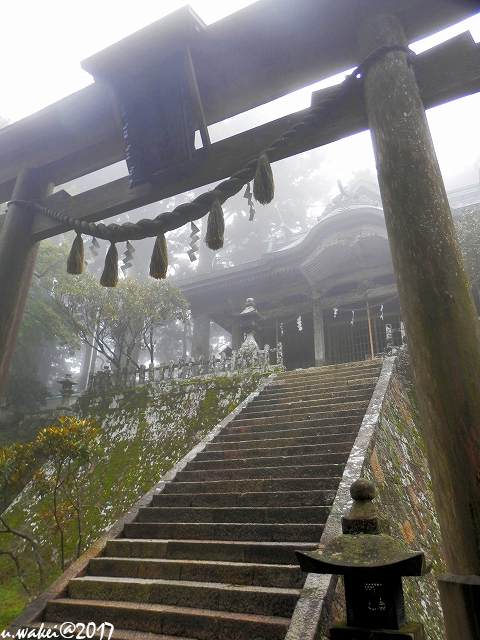 PA072367.jpg