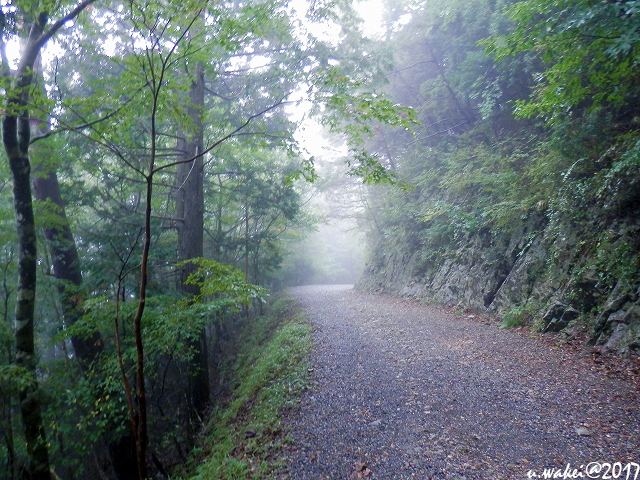 PA072383.jpg