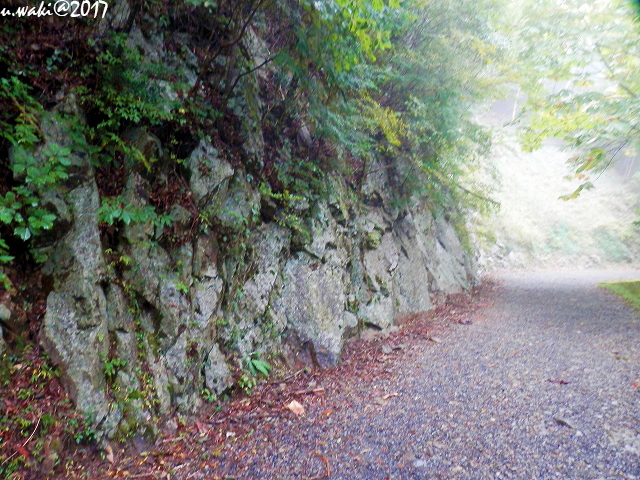 PA072385.jpg