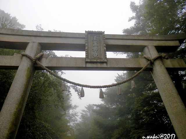PA072386.jpg